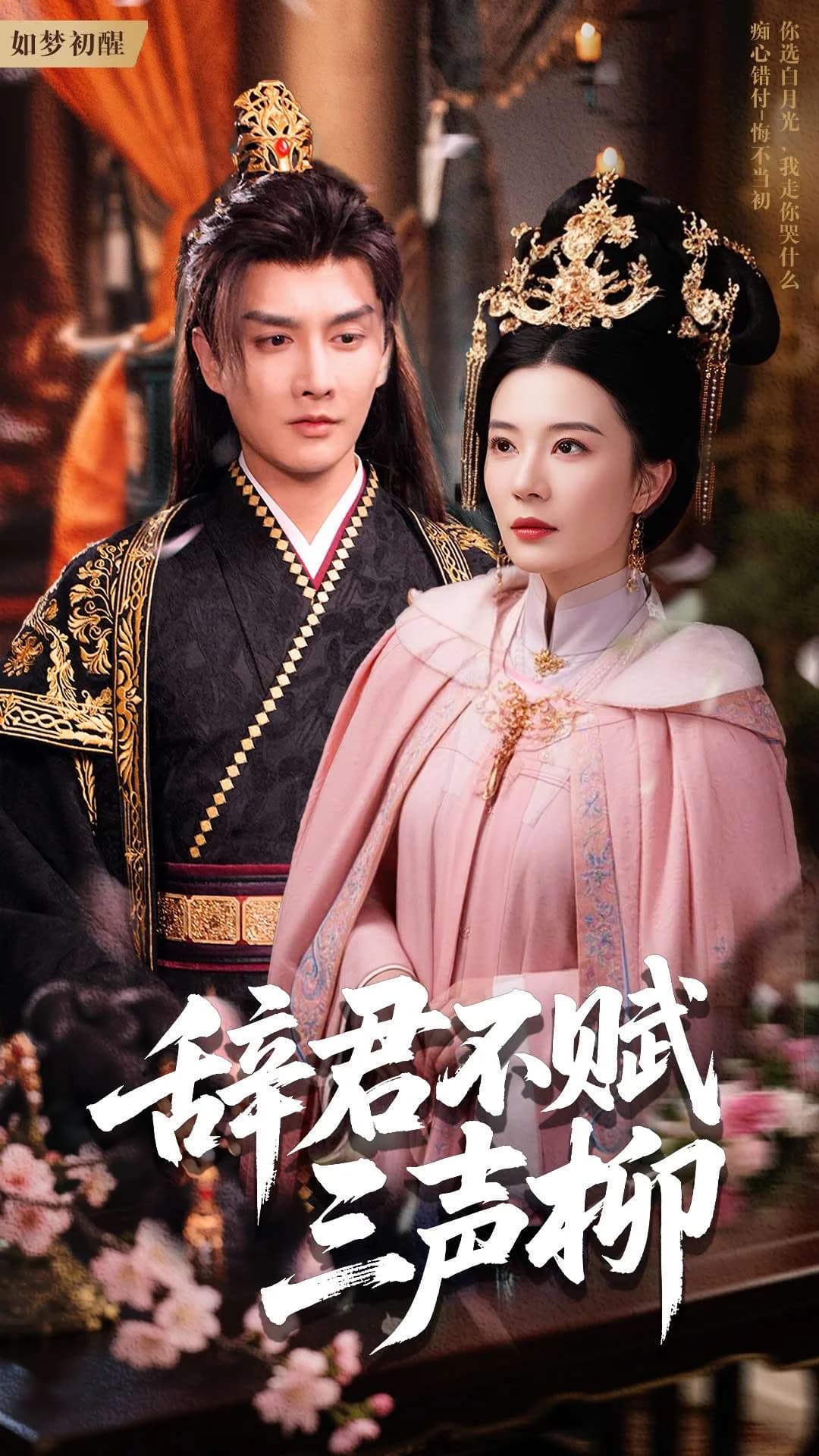 短剧《辞君不赋三声柳》 高清短剧全集免费享，完整版在线无障碍观看  第1张