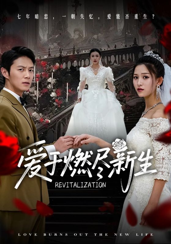 短剧《爱于燃尽新生》 短剧全集免费在线观看，高清画质，大结局揭晓  第1张