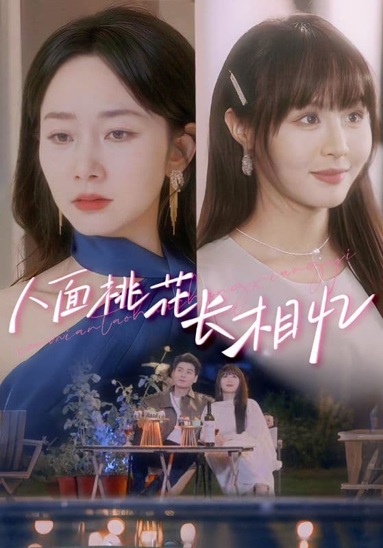 短剧《人面桃花长相忆》 高清短剧全集免费看，完整版在线无束缚  第1张