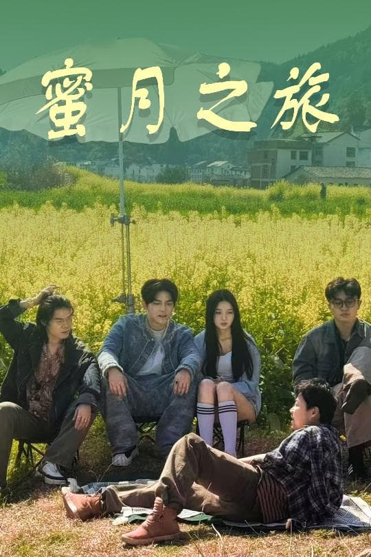 短剧《蜜月之旅》 免费观看！高清全集在线播放，大结局已完结  第1张