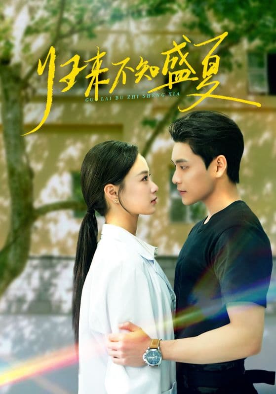 短剧《归来不知盛夏》 高清短剧全集在线免费，完整版无障碍欣赏