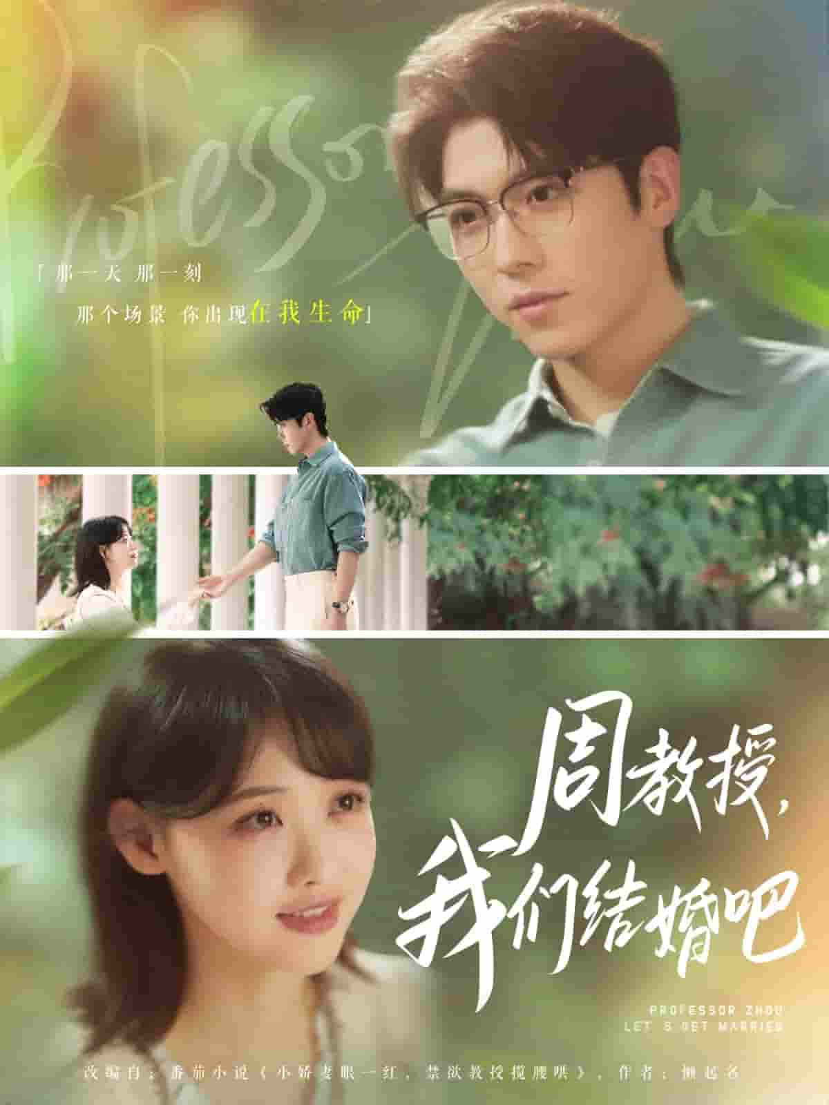 短剧《周教授我们结婚吧》 免费看高清全集，大结局震撼揭晓  第1张