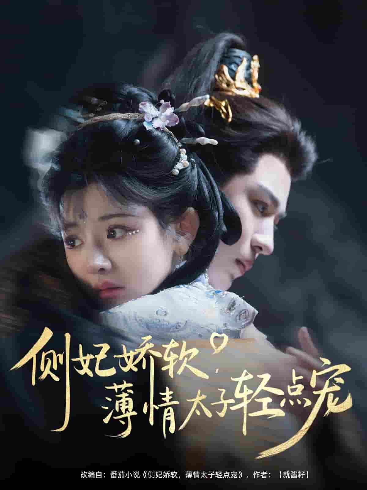 短剧《侧妃娇软薄情太子轻点宠》 全集免费在线，高清画质，大结局震撼揭晓  第1张