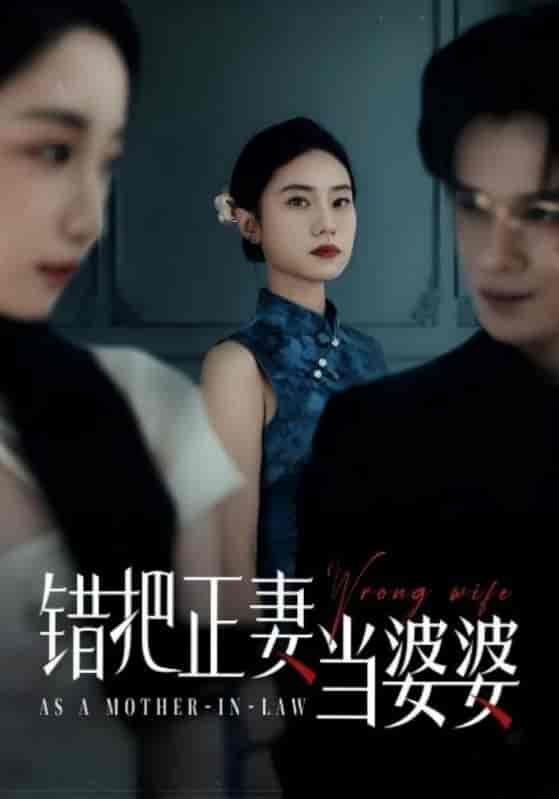 短剧《错把正妻当婆婆》 免费高清短剧全集在线，完整版观看无束缚  第1张