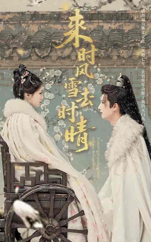 短剧《来时风雪去时晴》 免费高清短剧全集在线，完整版观看无束缚  第1张