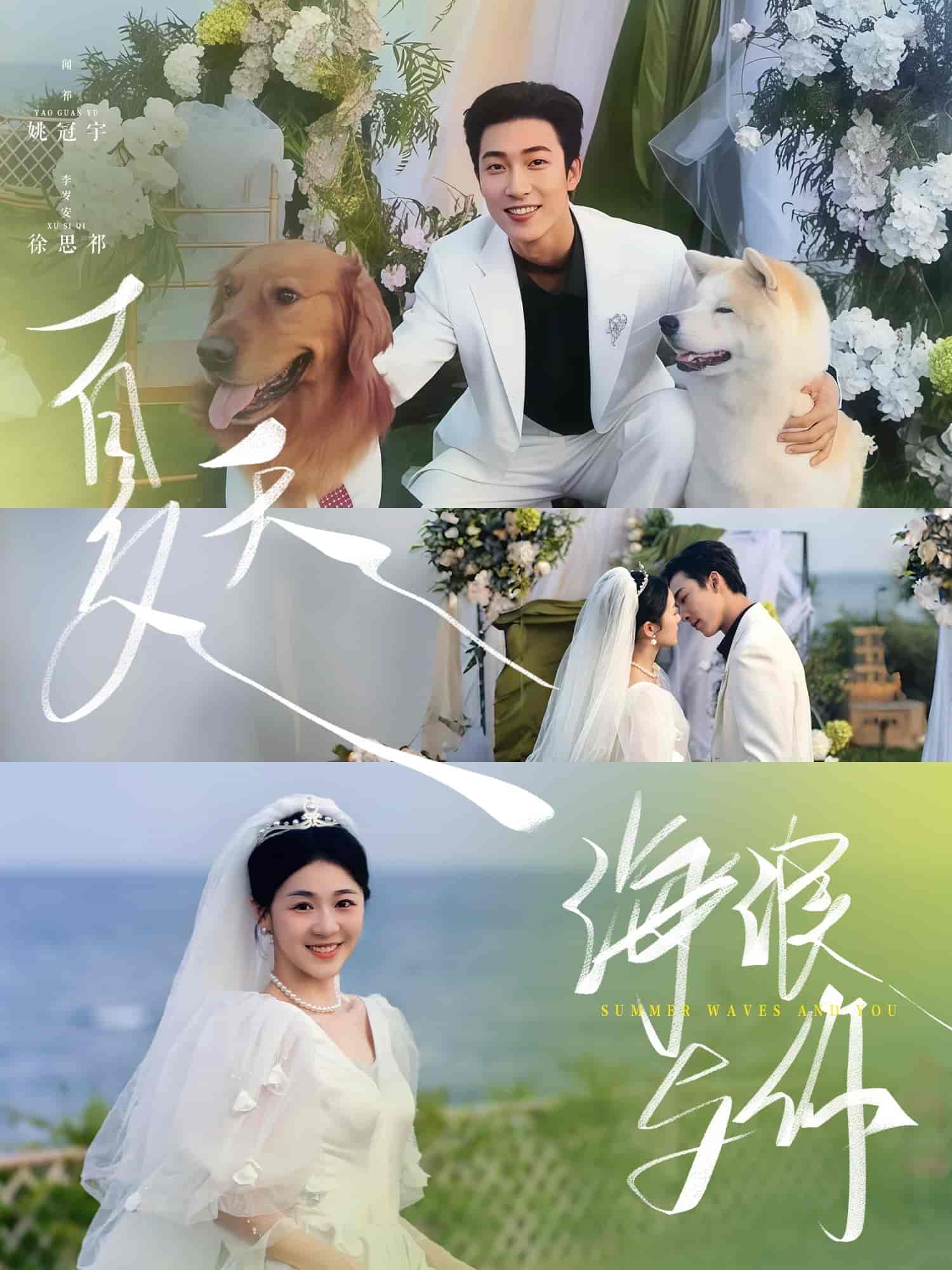 短剧《夏天，海浪与你》 全集免费在线，高清画质，大结局震撼揭晓  第1张