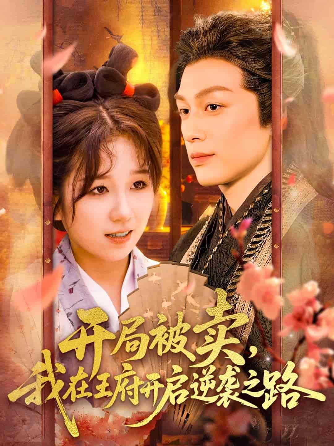 短剧《开局被卖我在王府开启逆袭之路》 高清短剧全集在线，免费完整版观看  第1张