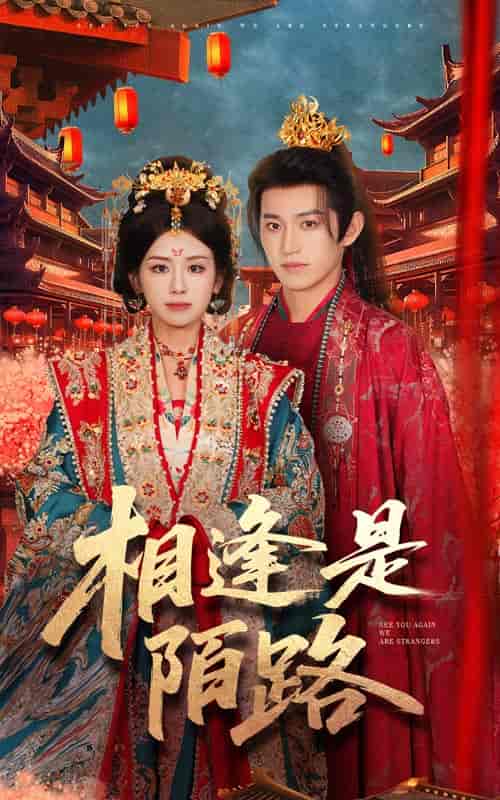 短剧《相逢是陌路》 免费观看高清短剧全集，完整版在线无限制  第1张