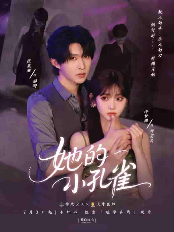 微短剧《她的小孔雀》 免费高清短剧全集，完整版在线无限制享
