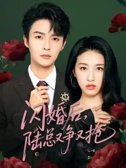 短剧《闪婚后陆总又争又抢》 全集免费在线观看，高清画质，大结局震撼来袭  第1张