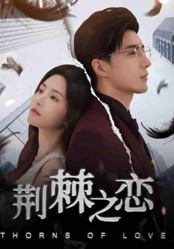 短剧《荆棘之恋》 高清短剧全集免费看，完整版在线随心观看无限制