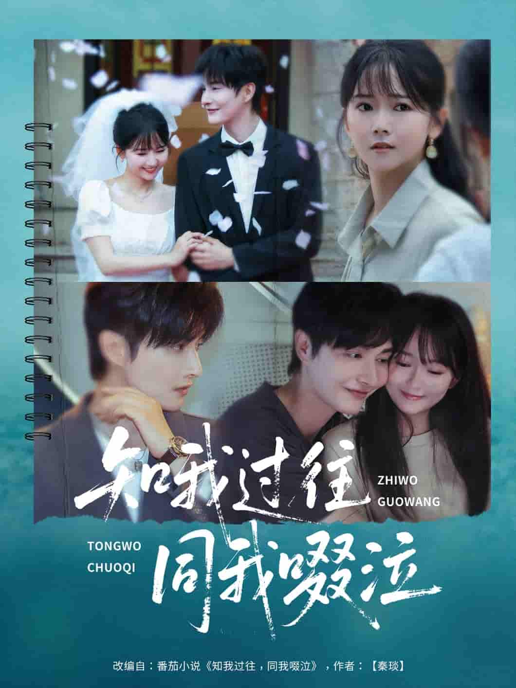 短剧《知我过往同我啜泣》 免费观看！高清全集在线播放，大结局震撼揭晓！  第1张