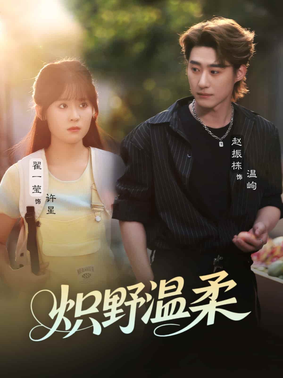 短剧《炽野温柔》 高清短剧全集在线，免费完整版无限制享  第1张