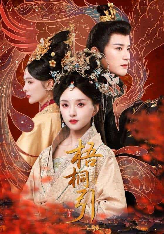 短剧《梧桐引》 短剧全集在线，免费高清观看，大结局震撼来袭！  第1张