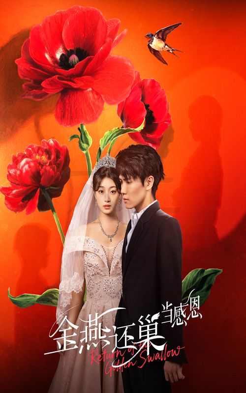 短剧 《金燕还巢当感恩》 高清完整全集免费在线观看无广告，金燕还巢当感恩高清全集在线看